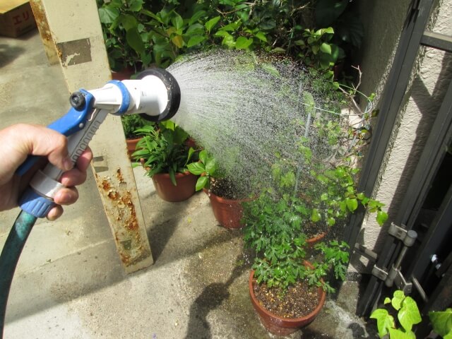 植木の水やり・お手入れ